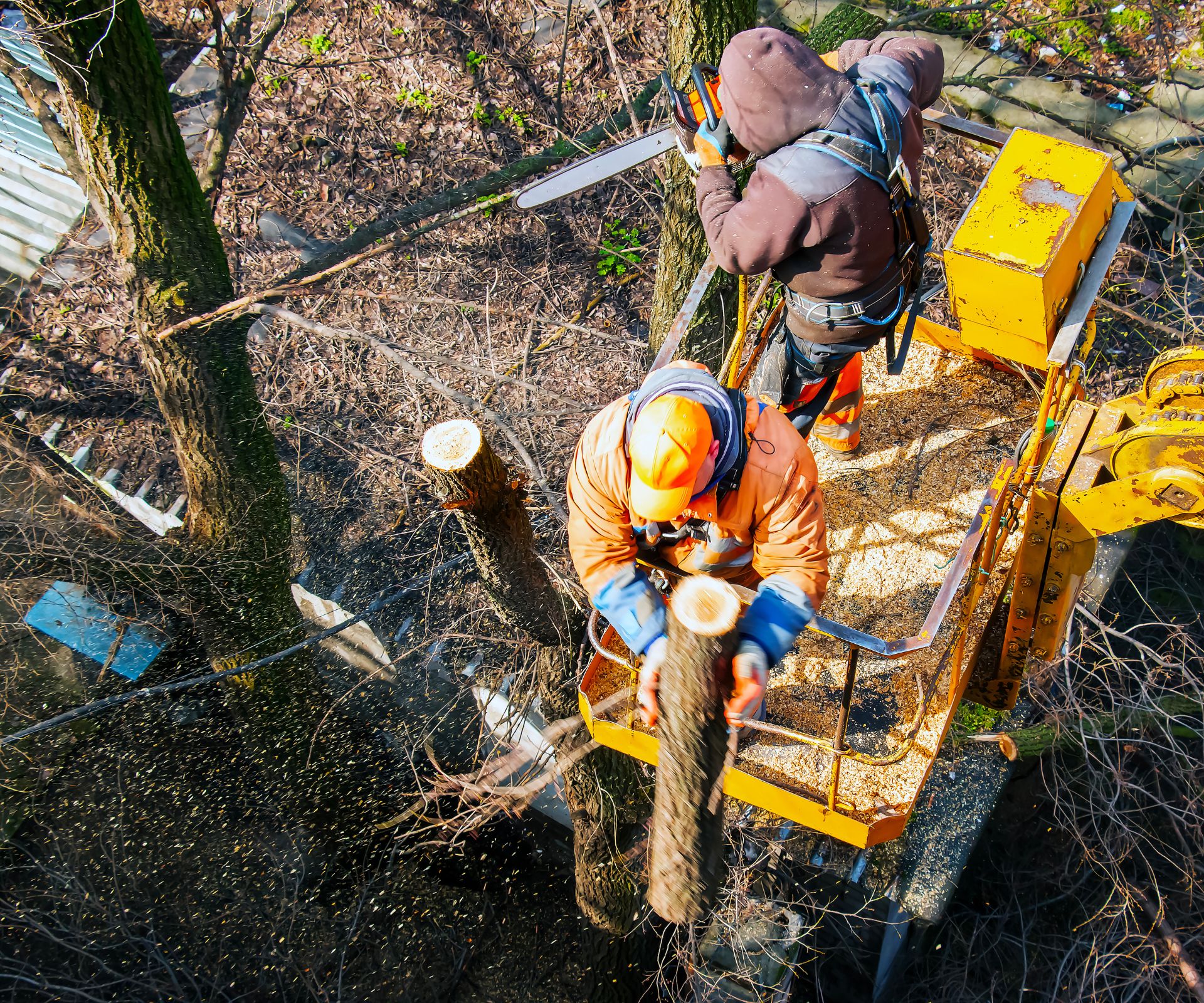 Commercial Land Clearing