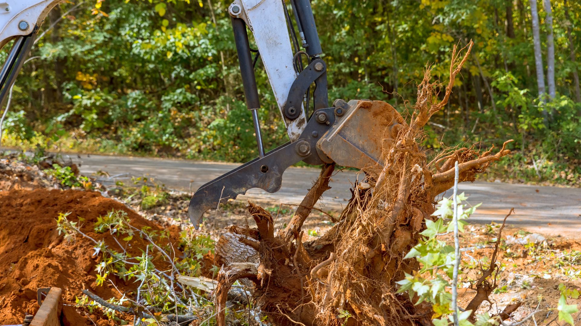 How Stump Grinding Protects Your Garden and Property - Ultimate Tree ...