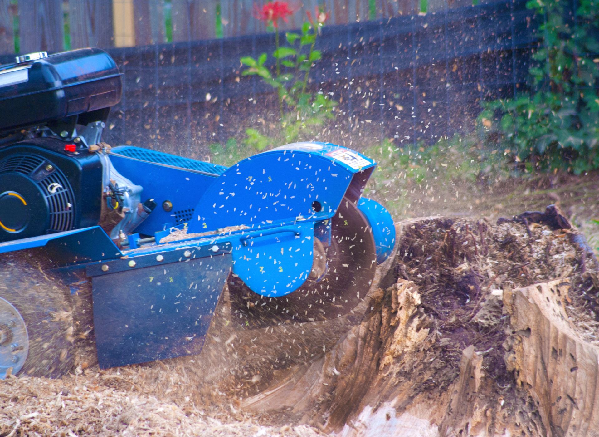 Stump Grinding