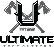 Contact's logo