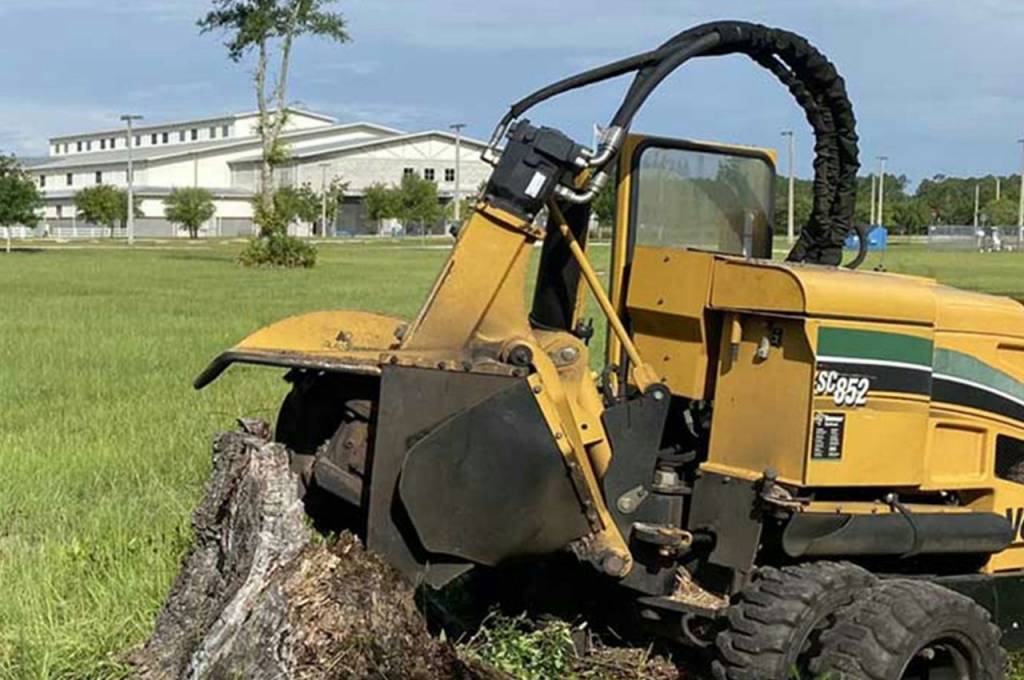 How to Cut Down a Tree
