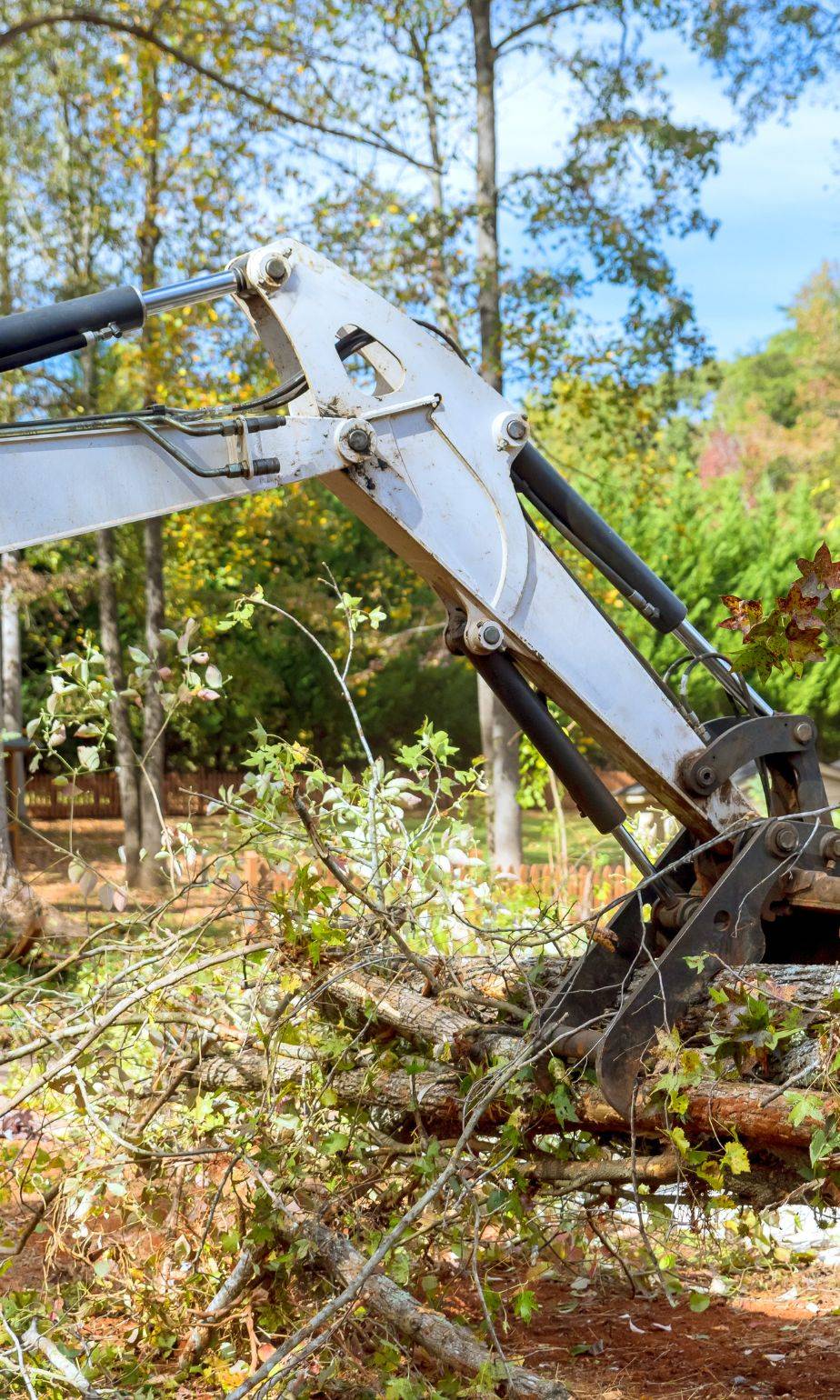 Excavator clearing trees and brush Excavator clearing trees and brush